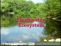 Freshwater Ecosystem Zones and Their Unique Organisms