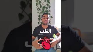 حارق الدهون- l-carnitine shorts