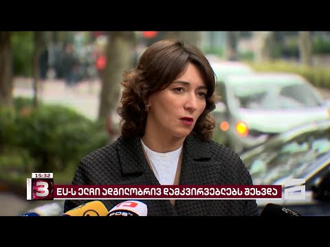 EU-ს ელჩი ადგილობრივ სადამკვირვებლო ორგანიზაციებს შეხვდა