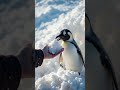 AI Videos creation with Grok and Google Nano Banan