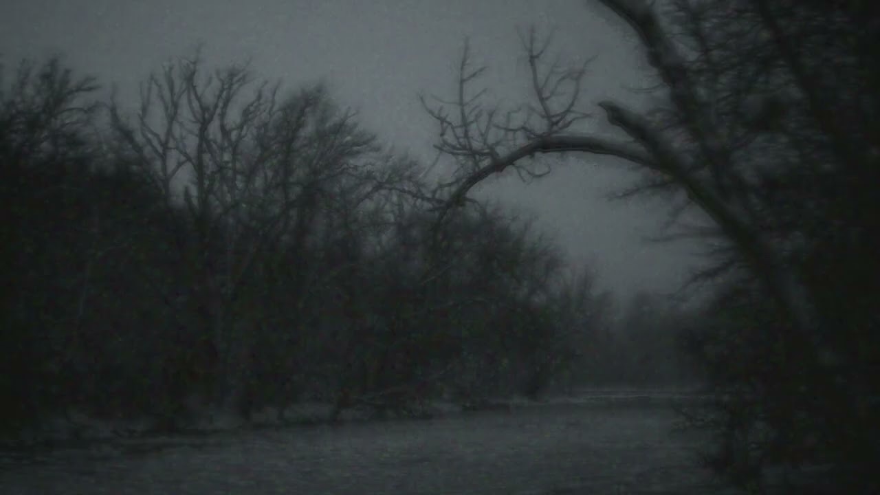 you accept that this is how it will be