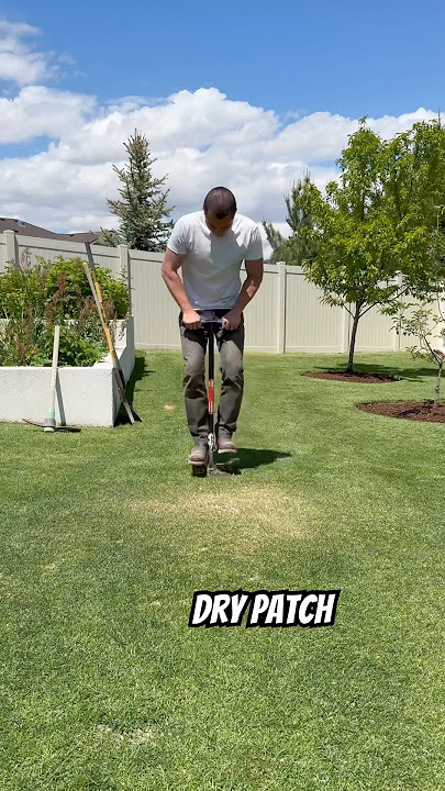 What’s under the dry patch on my lawn?