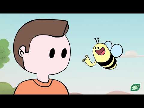 الاعلان عسل