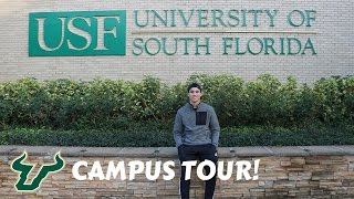 Here's a better look at usf's campus, many of you guys have been
requesting to see it! *also, sorry about the shakiness video,
stabilization was t...