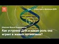 Каноническая структура ДНК — Максим Франк-Каменецкий