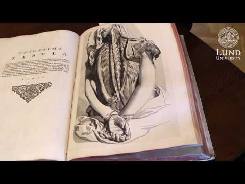 Video: Hur Forskare Identifierade De Okända Verken I Caravaggio
