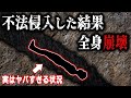 油断！お酒で酔った状態で洞窟探検に向かった大学生の末路【カールスバッド洞窟】【ゆっくり解説】