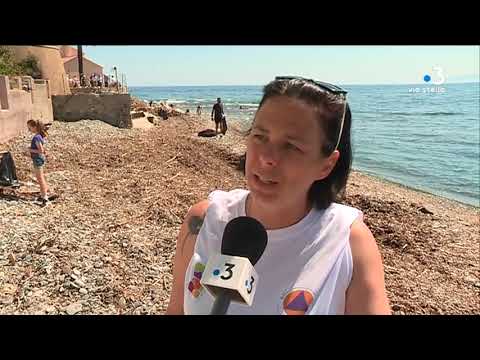 Santa-Maria-di-Lota : 12e édition de l’opération plage propre