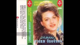 Figen Özgüzel - Ormancı Resimi