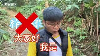 【獅恆遍野】東湖走著瞧第二集！你去過大湖公園，但你從高處眺望過大湖公園嗎？