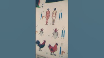 Principles Of Inheritance & Variation | NCERT Highlights | Garima Goel