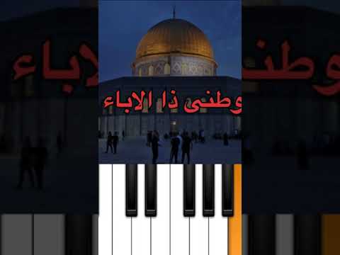 قريبا طريقة عزف سوف نبقي هنا شاهد الفديو كامل ع قناتى