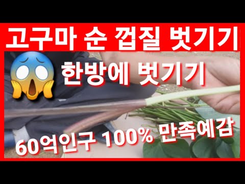 고구마 줄기껍질 쉽게까는법 고구마순 고구마잎 고구마줄기 김치 고구마줄기반찬 고구마줄기볶음 고구마순볶음 Sweet Potato Leaf Sweet Potato