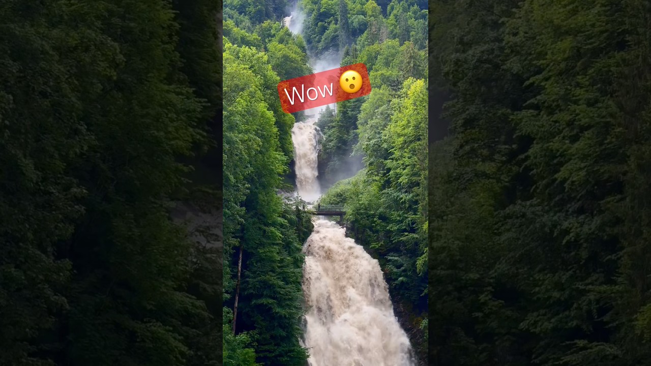 Powerful waterfall !!!! #switzerland #waterfall #youtubeshorts #nature