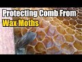 Protecting Comb From Wax Moths