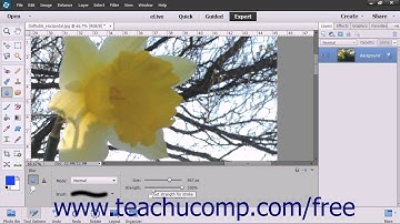 Photoshop Elements 13 Tutorial Blurring & Sharpening Images Adobe Training