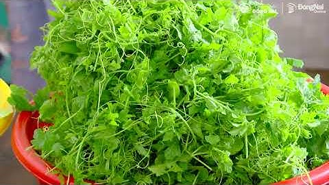 Lẩu khổ qua rừng…đắng đầy nhớ nhung