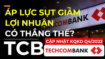 Phân tích TCB | ÁP LỰC SỤT GIẢM LỢI NHUẬN CÓ THẮNG THẾ?