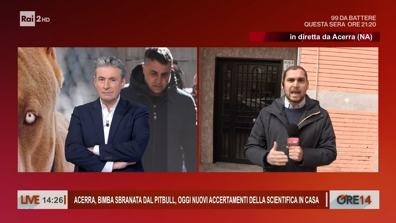 Bimba sbranata dal pitbull ad Acerra, il racconto del padre non convince - Ore 14 del 24/02/2025