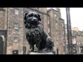 Greyfriar's Bobby - The most loyal dog in the world. See what he did!