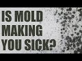 Mold & Chronic Fatigue, Brain Fog, Fibromyalgia, Pain | Holistic Health Tips, WellnessPlus Podcast