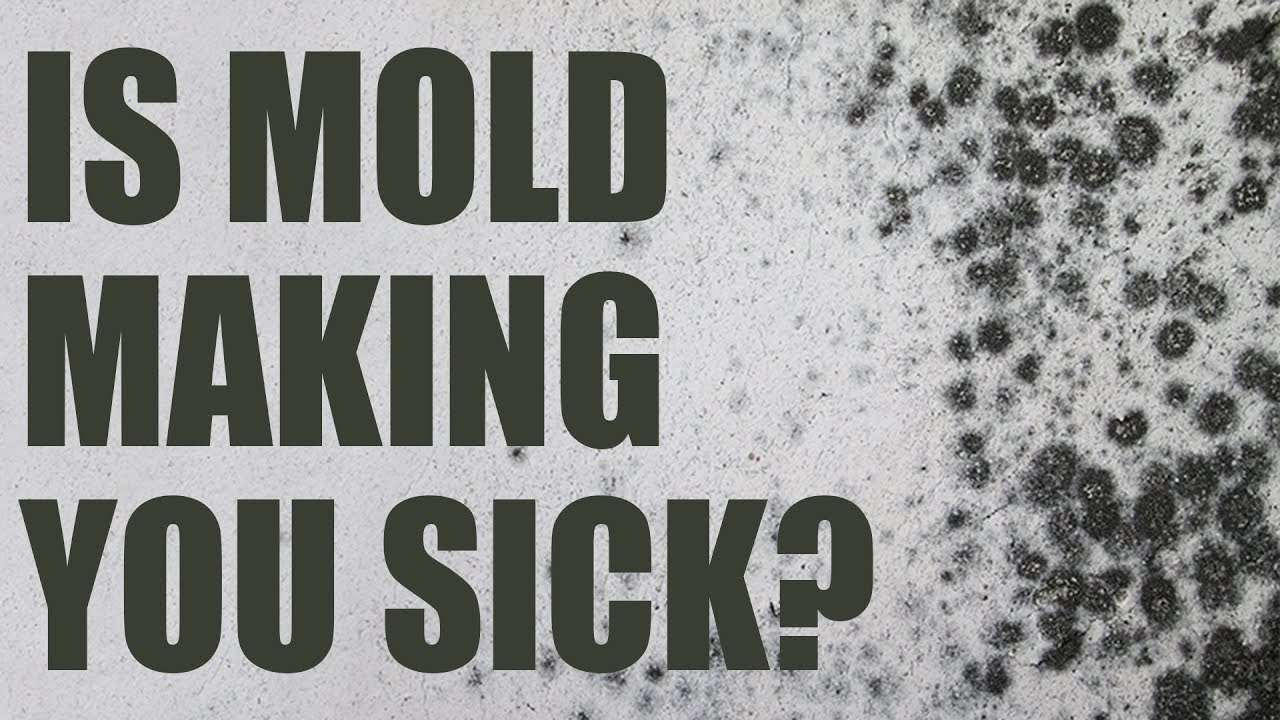 Mold & Chronic Fatigue, Brain Fog, Fibromyalgia, Pain Holistic Health