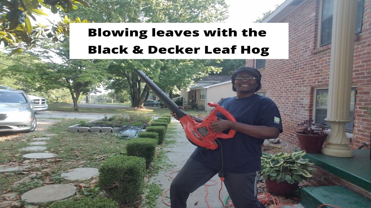 Sold at Auction: Working Black and Decker Leaf Hog Blower