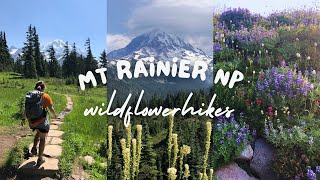 Mt. Rainier National Park Wildflowers  All the BEST Wildflower Day Hikes