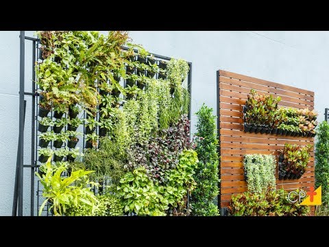 Curso a Distância Jardins Verticais - Implantação e Manutenção