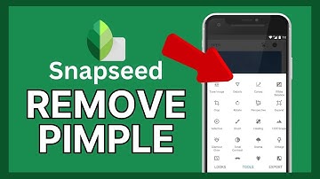 How to Remove Pimple in Snapseed 2024?