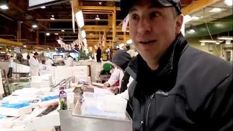 The difference between pollock and cod