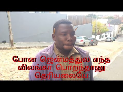 animals-sounds/-voice-mimicry/-jay-seven-/-tamil