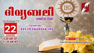 HOLY MASS MALAYALAM 22 AUGUST 2026 | LATIN MASS | REV FR CHANDAN IMS |TODAY LIVE MASS |GOODNESS TV screenshot 3