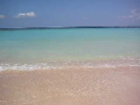 �j�V�l�̔g�ł���