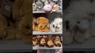 Which Plushie Can You Choose?