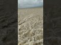 চাঁদপুর মেঘনা নদী