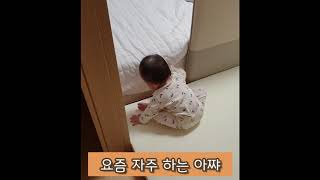 일룸 쿠시노침대 후기(feat.11개월아기)
