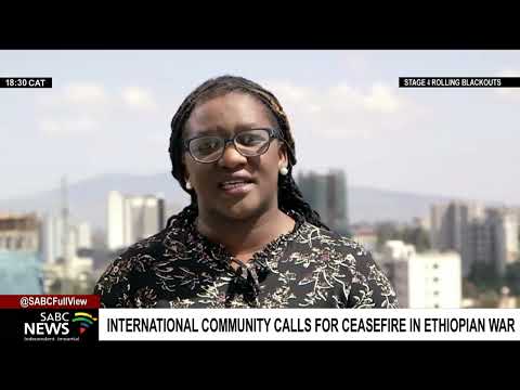 International community calls for a ceasefire between warring parties in Ethiopia