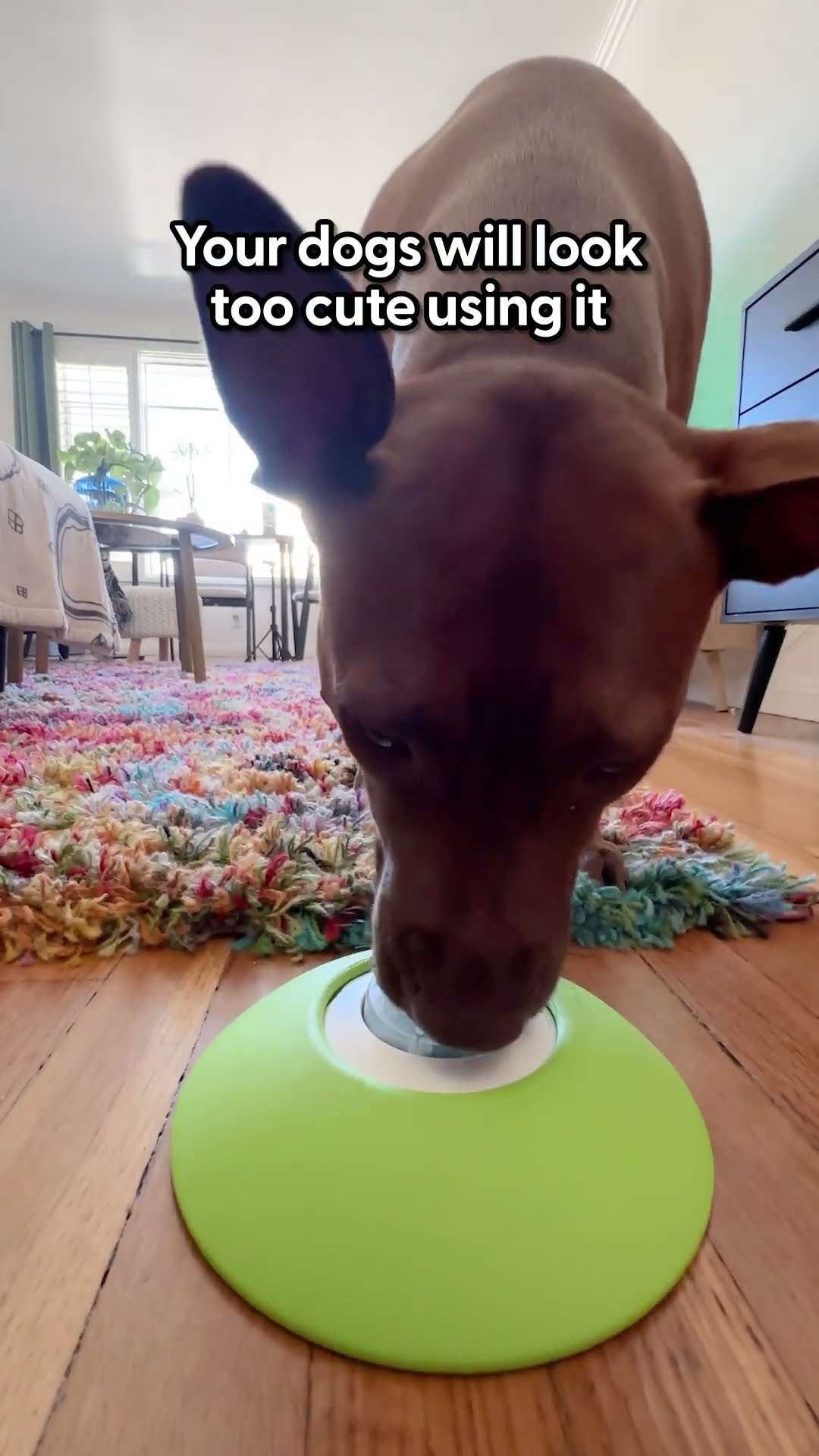 My Dogs Love To Use This Enrichment Toy | The Pack