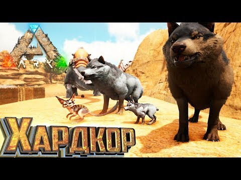 Видео: МОЯ СТАЯ ВОЛКОВ - ХАРДКОР ARK Scorched Earth #5