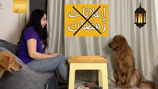 اعلانات رمضان 2021 بشكل جديد | zed | قطونيل | fifth square | احنا فريش وفرافيش | تاو تاو