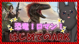 ARｋ！実況始めるよ！