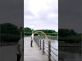 The human body transports water, greening the desert is funny special effects desert greening p2