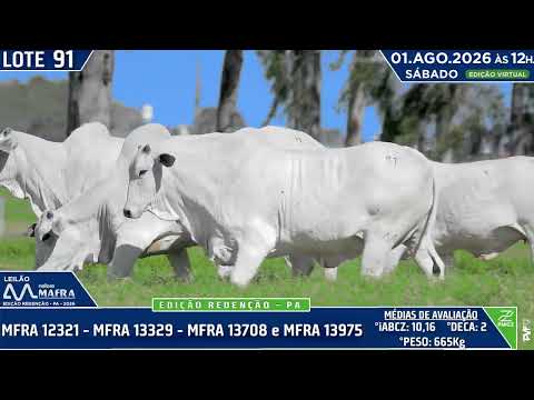 LOTE 91   MFRA 12321   MFRA 13329   MFRA 13708 e MFRA 13975