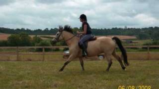 Entry For Robynqq555S Photography Contest