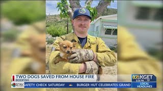 2 dogs saved from mobile home fire in Bodfish