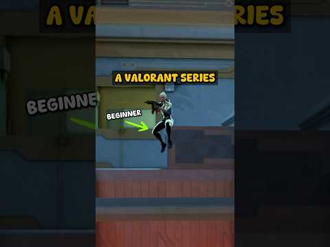A Beginners Guide
