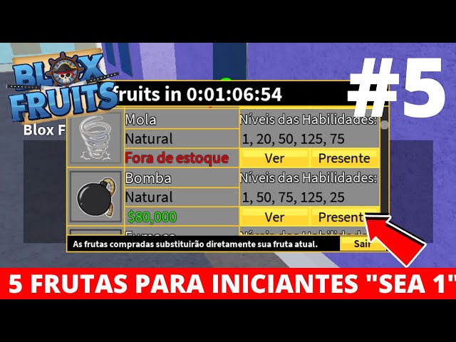 AS 5 FRUTAS PARA JOGAR BLOX FRUIT INICIANTES 