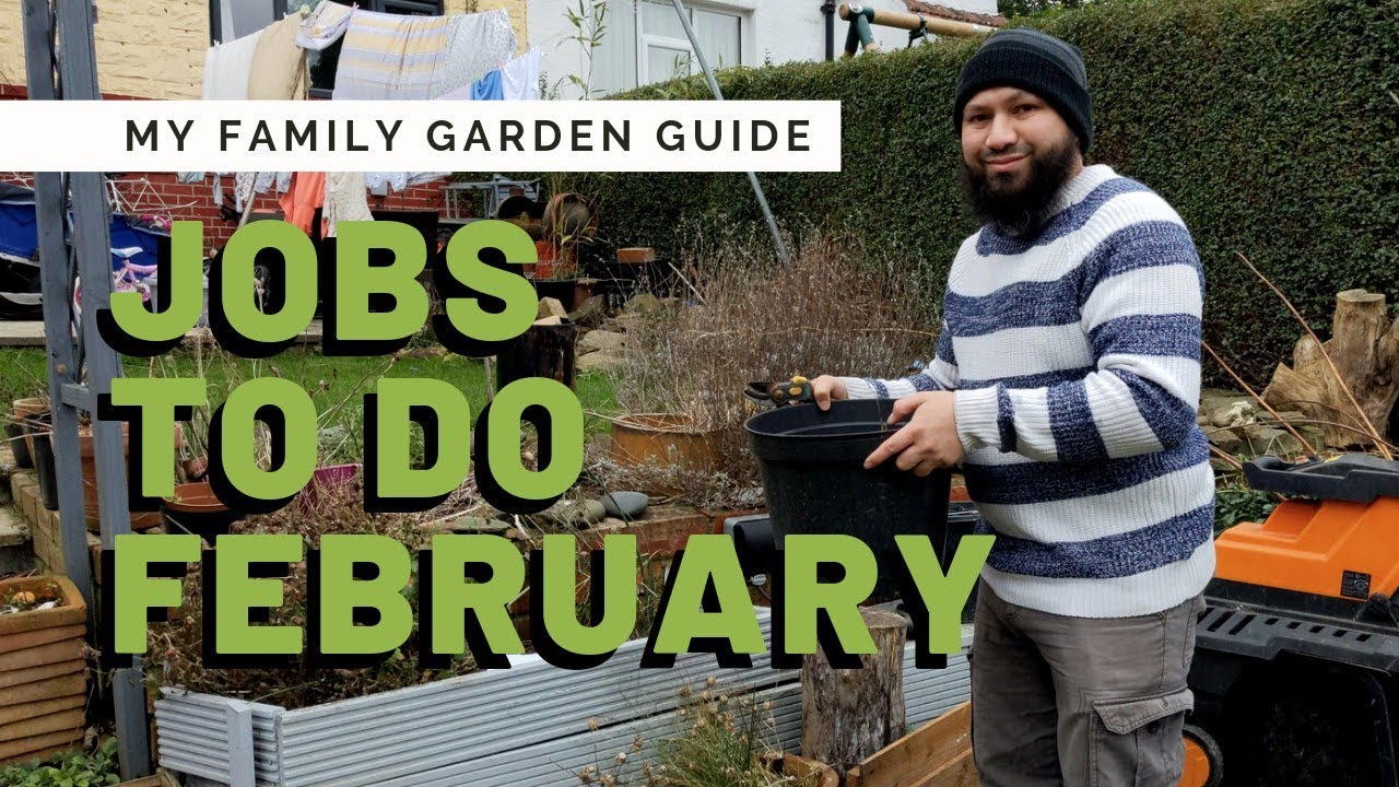Incredibly Useful GARDENING JOBS FOR FEBRUARY - Tips For New Gardeners