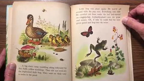 Story Time with ESCC - Kathy Pattie - Jeepers the Little Frog